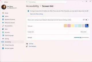 Options Screen tint dans les Paramètres Windows.